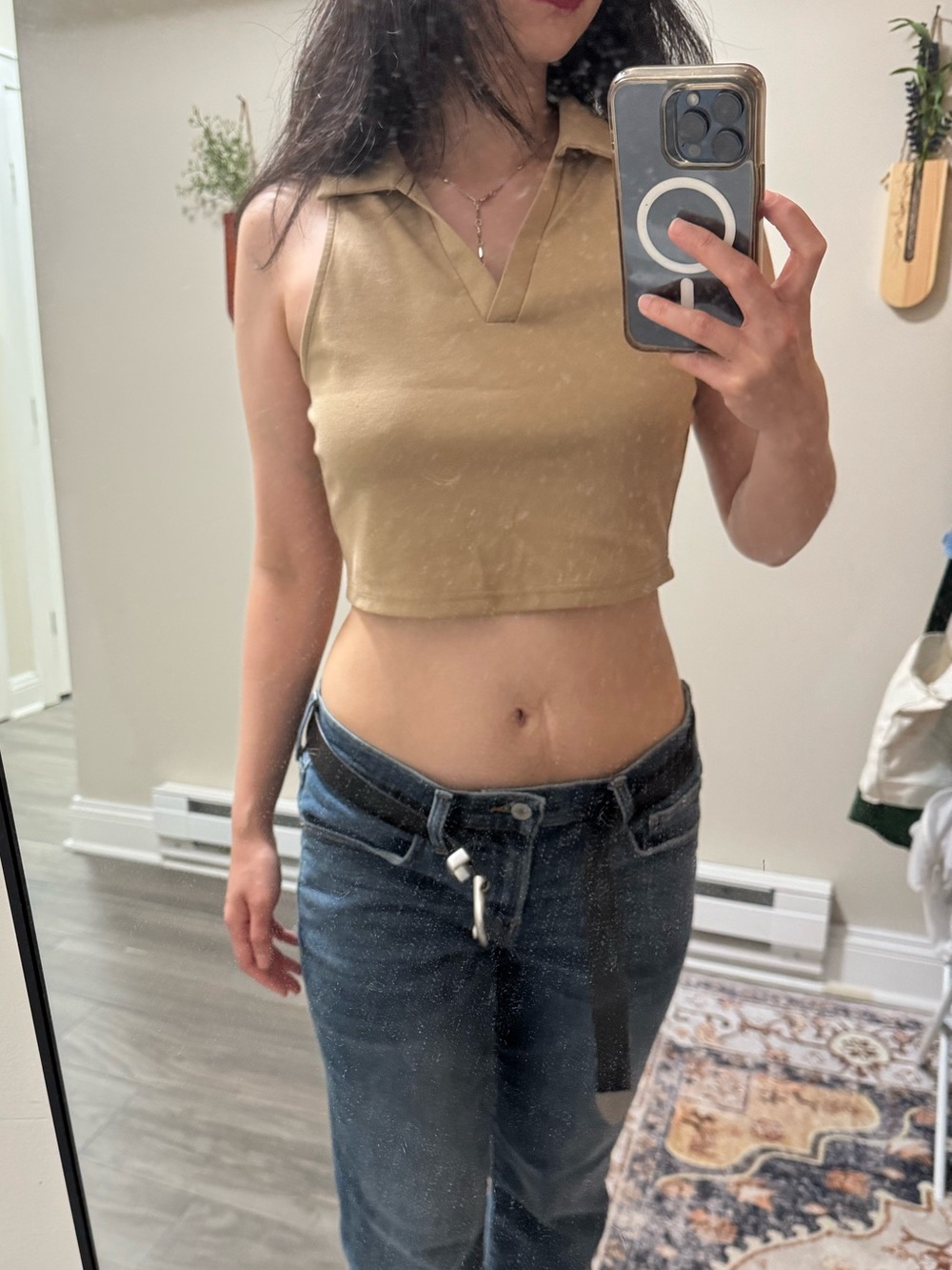 Sleeveless Collared Crop Top in Taupe
